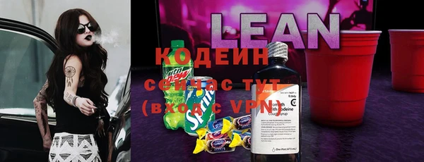 шишки Армянск