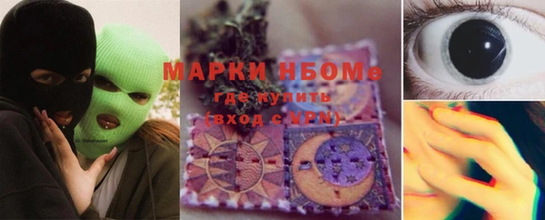 шишки Армянск