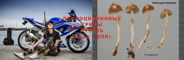 шишки Армянск
