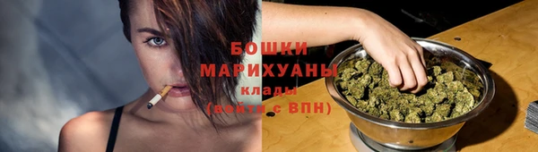 шишки Армянск