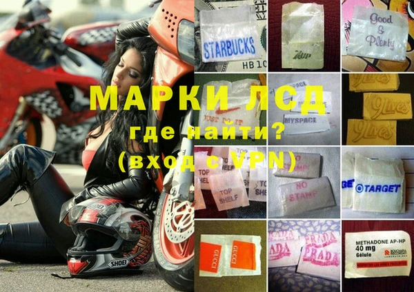 шишки Армянск