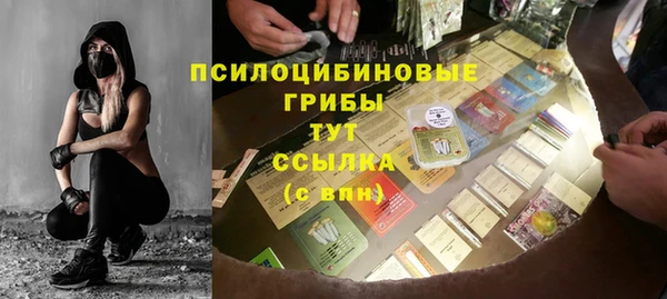 шишки Армянск