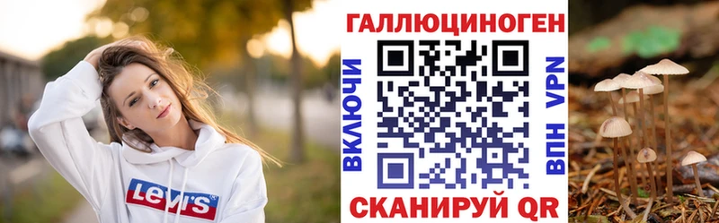 Псилоцибиновые грибы Psilocybe  Шумиха 